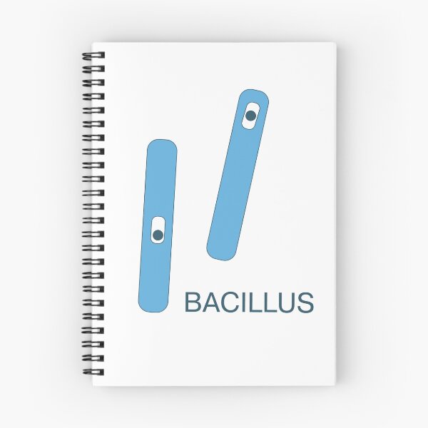Item preview, Bacillus designed and sold by Olivenbaum.