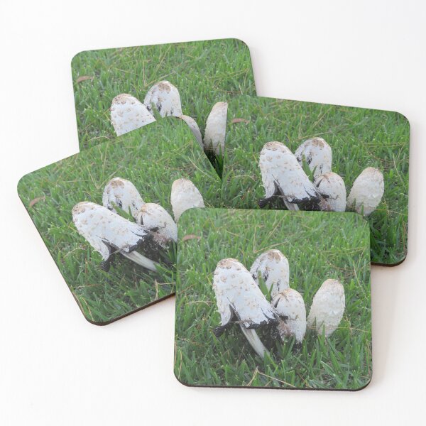 Item preview, Coprinus comatus designed and sold by greentiger1.