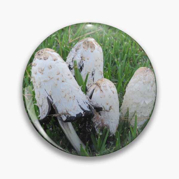 Item preview, Coprinus comatus designed and sold by greentiger1.
