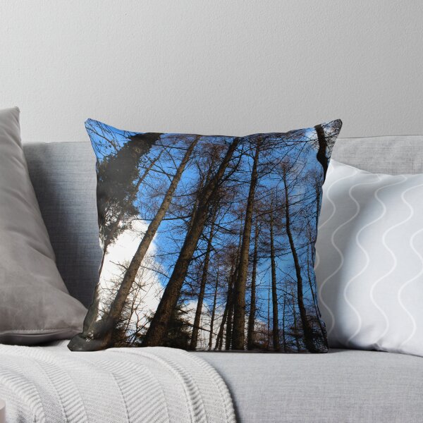 Item preview, Looking up designed and sold by Elaine Carty.