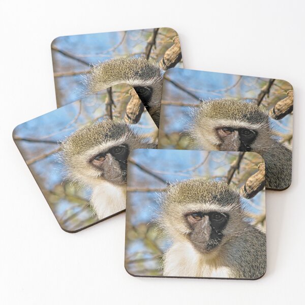 Item preview, Velvet Monkey Closeup Portrait designed and sold by worldways.