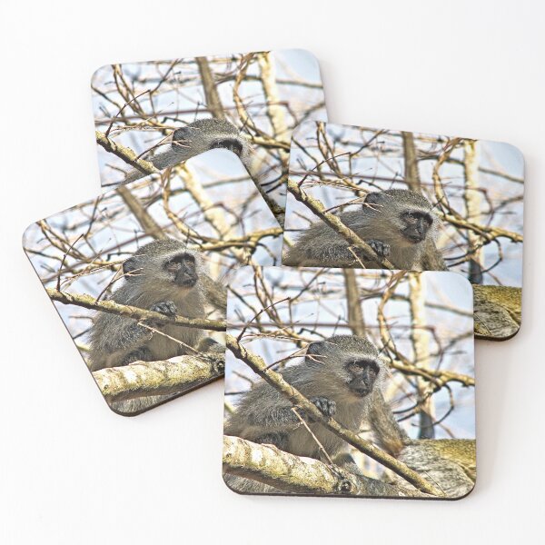 Item preview, Velvet Monkey on Tree Closeup Portrait designed and sold by worldways.