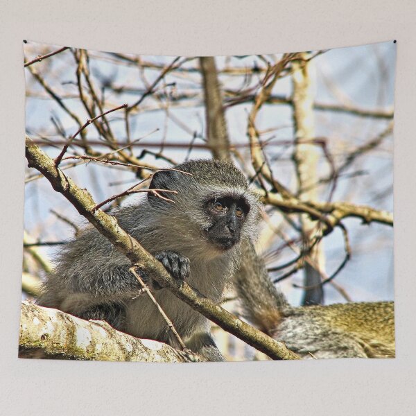 Item preview, Velvet Monkey on Tree Closeup Portrait designed and sold by worldways.