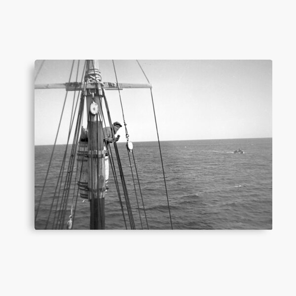 Crows Nest Metal Print