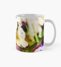 Viola Mug