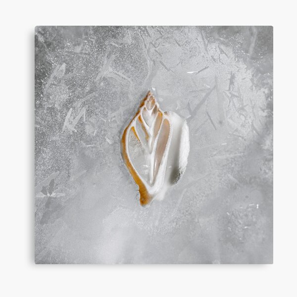 Cryogenesis V Metal Print