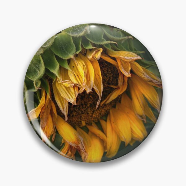Artikelvorschau,  Ich habe die Blumenaufnahmen verschoben. Jetzt habe ich nur noch diesen entworfen und verkauft von Andy Heatwole.