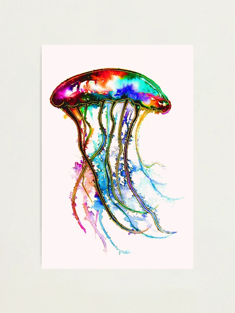 h*i様 iroca ミズクラゲ jellyfish rainbow リバーシブ h*i様 iroca ミズクラゲ jellyfish rainbow リバーシブ h*i様