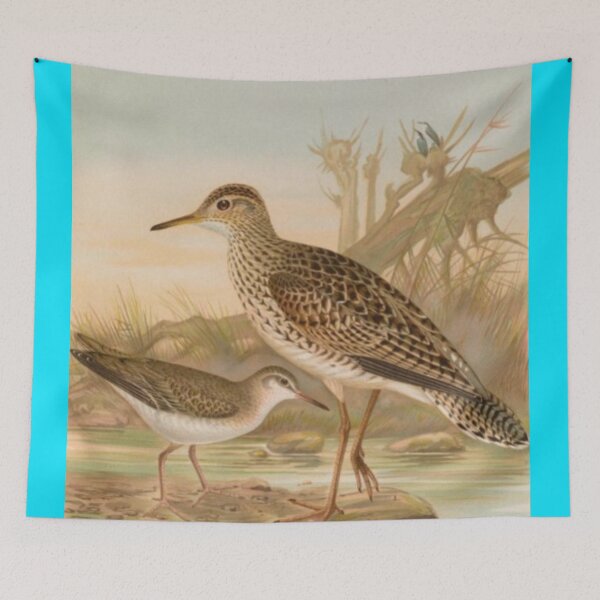 Item preview, Two Brown Wrens By The River designed and sold by laguitan10.
