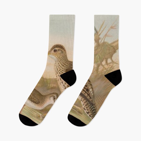 Item preview, Two Brown Wrens By The River designed and sold by laguitan10.