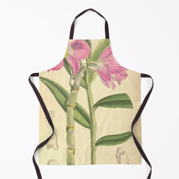 Item preview, Dendrobium regium designed and sold by EsotericBotanic.