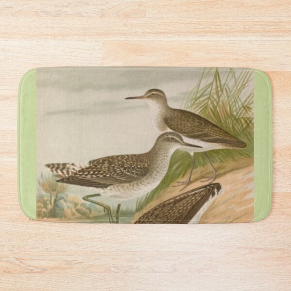 Item preview, Three Sandpipers By The River designed and sold by laguitan10.