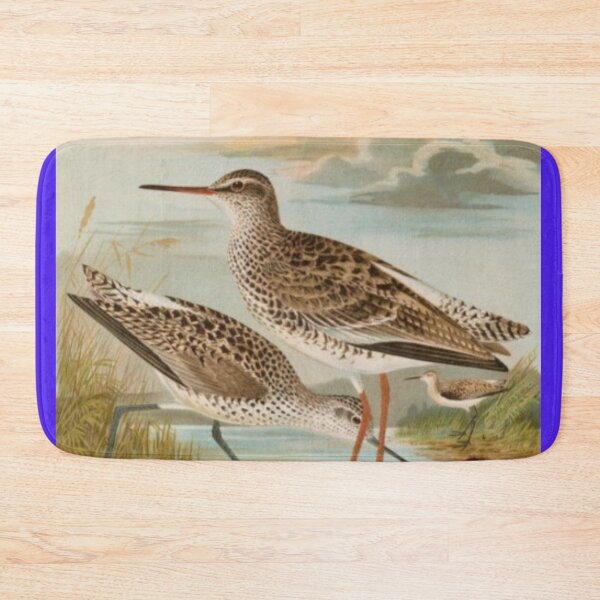 Item preview, Two Sandpipers And A Chick designed and sold by laguitan10.