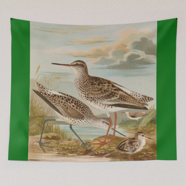 Item preview, Two Sandpipers And A Chick designed and sold by laguitan10.