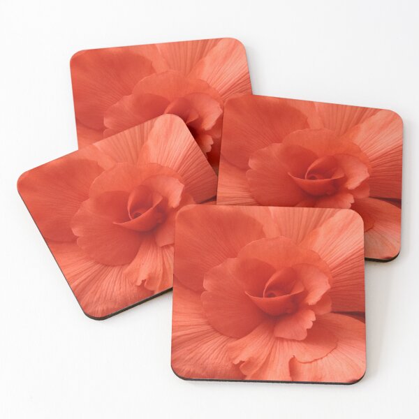 Item preview, The Begonia Effect 02 designed and sold by beeden.