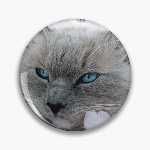 Item preview, Copy of Copy of Ragdoll cat Odin designed and sold by Fluffycat2020.
