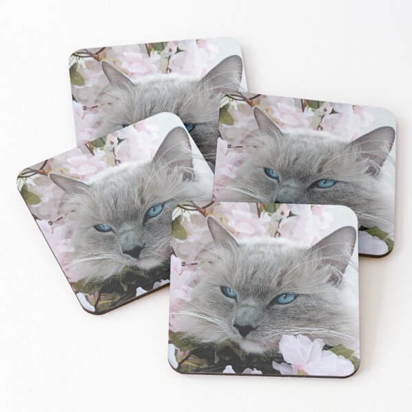 Item preview, Copy of Copy of Ragdoll cat Odin designed and sold by Fluffycat2020.