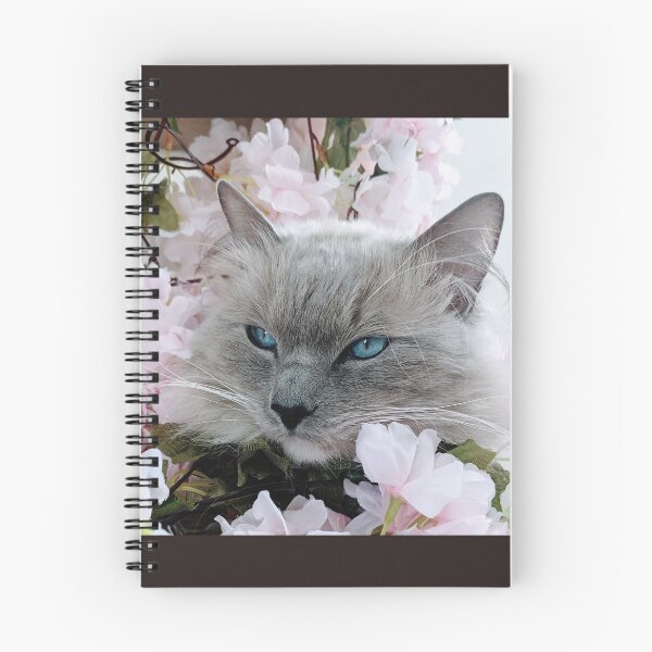 Item preview, Copy of Copy of Ragdoll cat Odin designed and sold by Fluffycat2020.