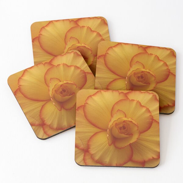 Item preview, The Begonia Effect 06 designed and sold by beeden.