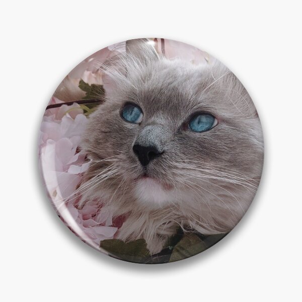 Item preview, Copy of Copy of Ragdoll cat Odin designed and sold by Fluffycat2020.