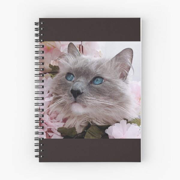 Item preview, Copy of Copy of Ragdoll cat Odin designed and sold by Fluffycat2020.