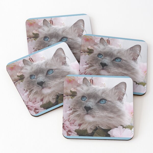 Item preview, Copy of Copy of Ragdoll cat Odin designed and sold by Fluffycat2020.