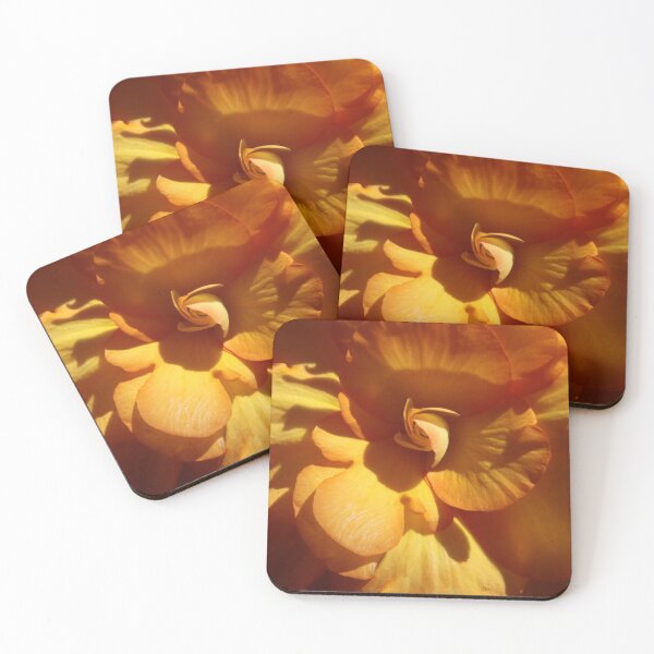 Item preview, The Begonia Effect 25 designed and sold by beeden.