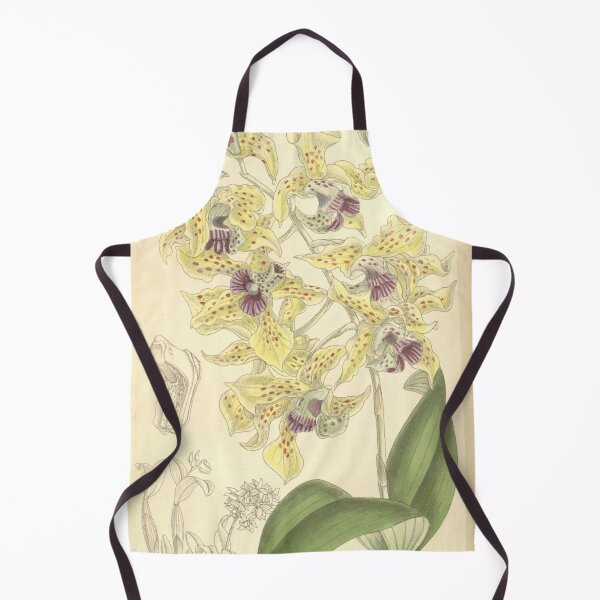Item preview, Dendrobium atroviolaceum designed and sold by EsotericBotanic.