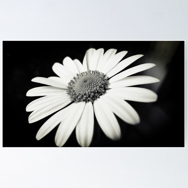 Item preview, Margherita designed and sold by marcomartinelli.