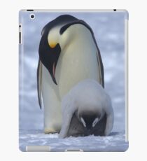 Emperor Penguin and Chick iPad Case/Skin