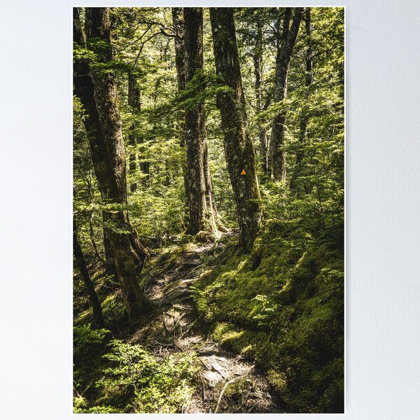 Item preview, New Zealand Beech Forest Bush Track designed and sold by Tamasin Langton Design.