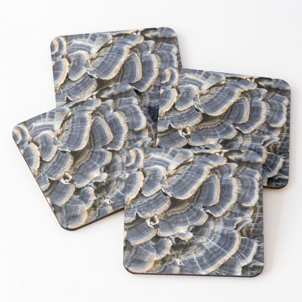 Item preview, Turkey tail mushrooms #1 designed and sold by silverwheelarts.