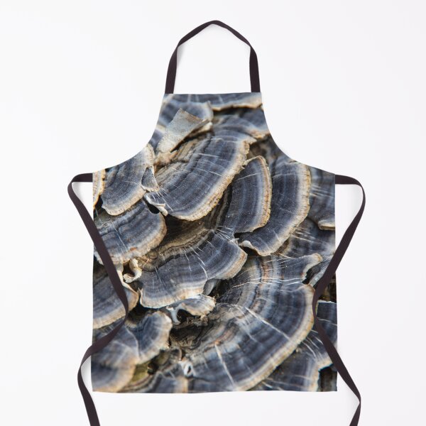 Item preview, Turkey tail mushrooms #1 designed and sold by silverwheelarts.
