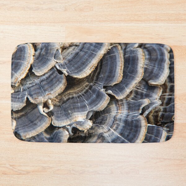 Item preview, Turkey tail mushrooms #1 designed and sold by silverwheelarts.