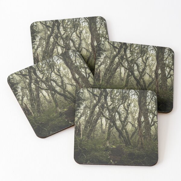 Item preview, Moody Misty Beech Forest Track designed and sold by Tamasin Langton Design.