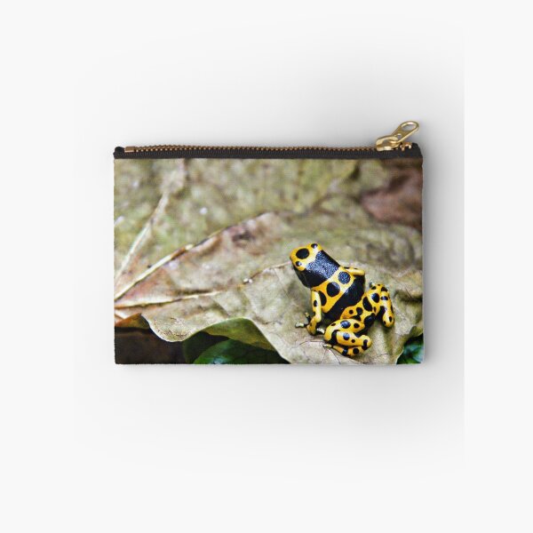 Item preview, Dart Frog designed and sold by Lana Trussell.