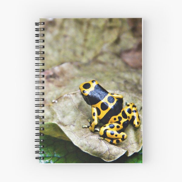 Item preview, Dart Frog designed and sold by Lana Trussell.