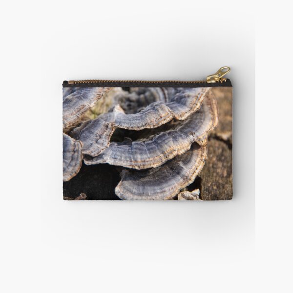 Item preview, Turkey tail mushrooms on bark #1 designed and sold by silverwheelarts.