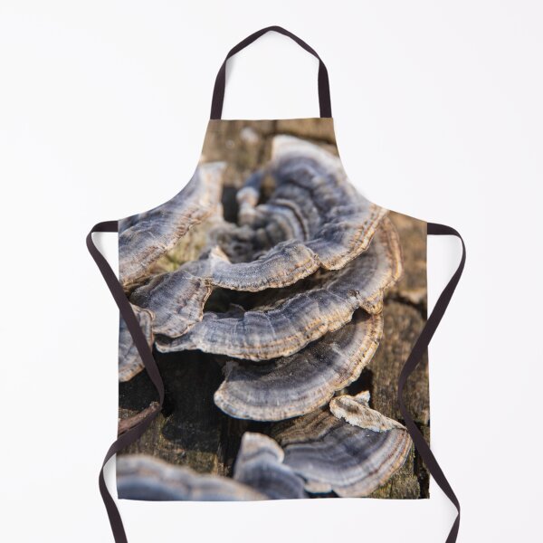 Item preview, Turkey tail mushrooms on bark #1 designed and sold by silverwheelarts.