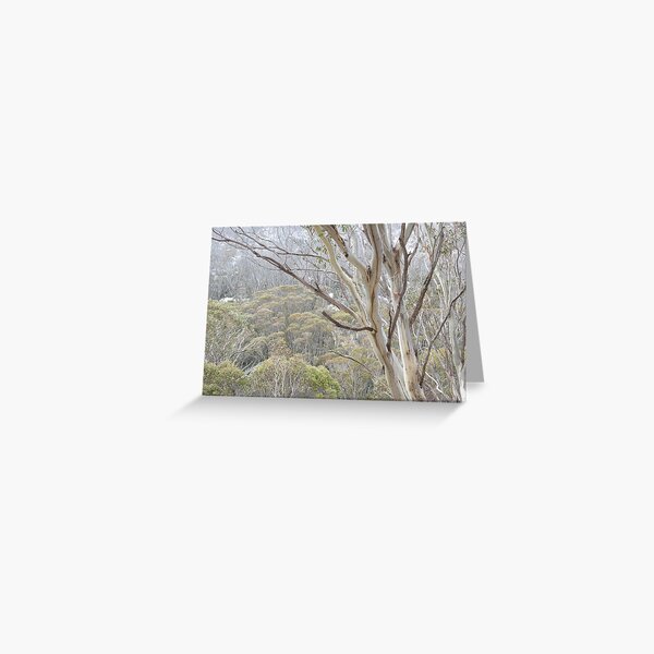 Item preview, Snow Gums in the mist designed and sold by photosbymia.