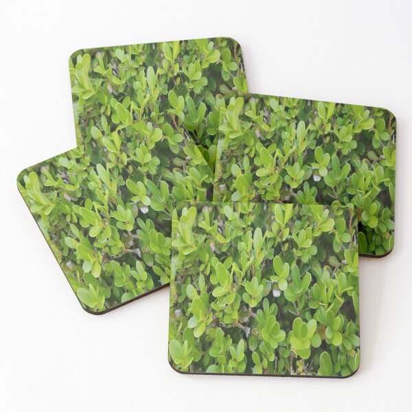 Item preview, Hedge Top designed and sold by MottoDigging.