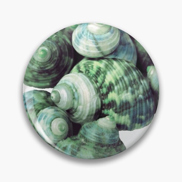 Item preview, Sea Shells designed and sold by Sketchbrooke.