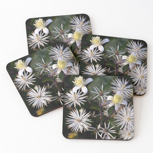 Item preview, Australia Flannel Flower designed and sold by sasijaya.
