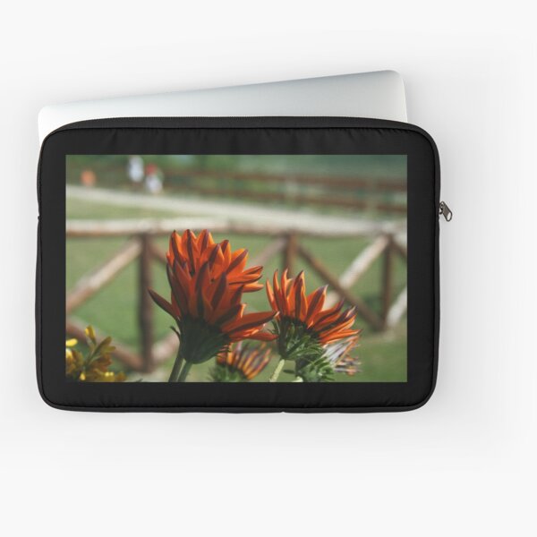 Flowers - African Daisy Laptop Sleeve