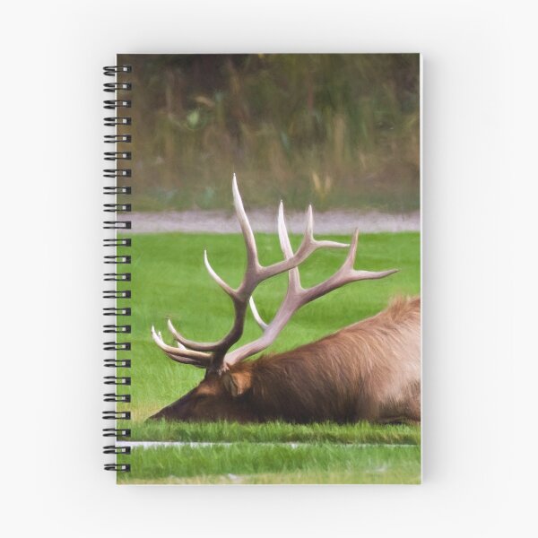 Item preview, Tough Rut designed and sold by Lana Trussell.