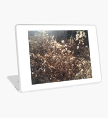 Vinilo para portátil Forest Plantlife