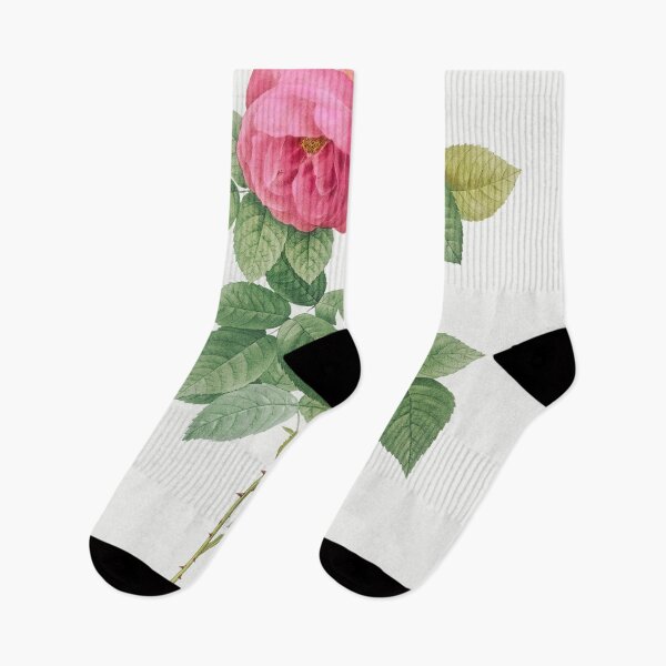 Item preview, Les Roses by Pierre-Joseph Redouté designed and sold by EsotericBotanic.