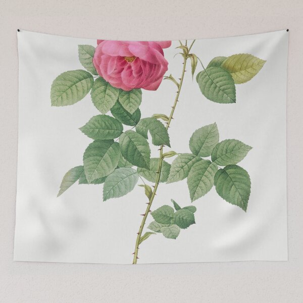 Item preview, Les Roses by Pierre-Joseph Redouté designed and sold by EsotericBotanic.