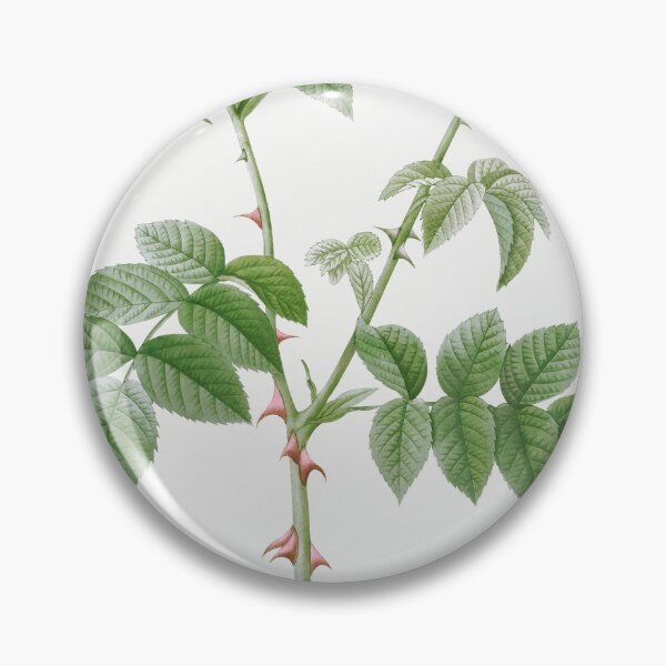 Item preview, Les Roses by Pierre-Joseph Redouté designed and sold by EsotericBotanic.