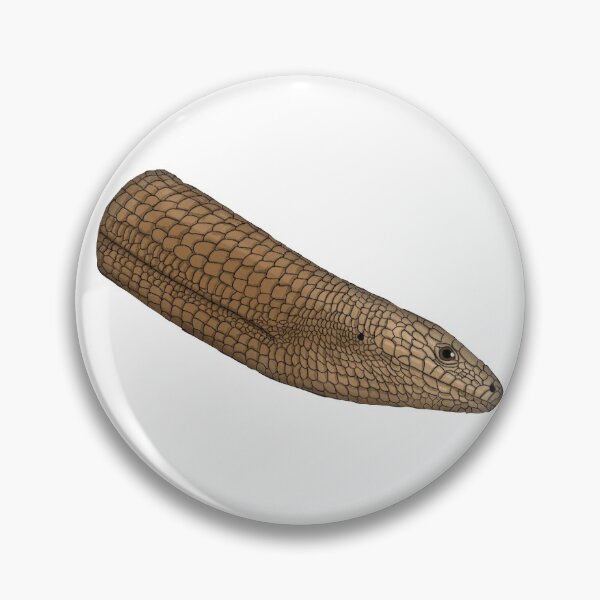 Item preview, sheltopusik, legless lizard (Pseudopus apodus) designed and sold by TateandDad.